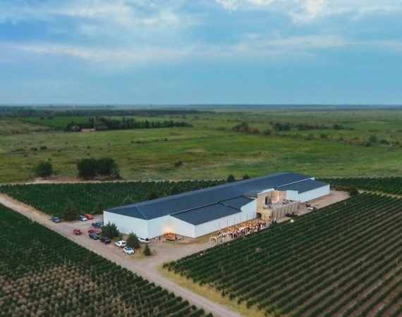 La Mansa Wine Estates
