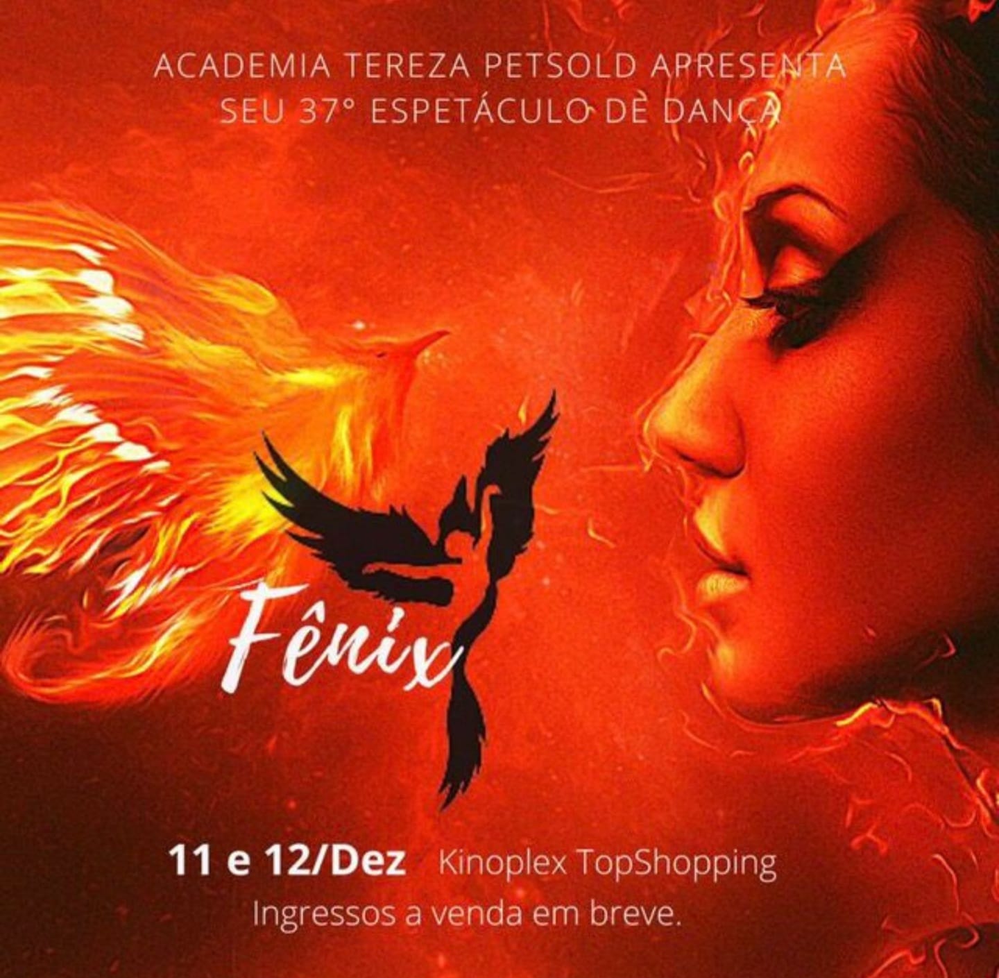 espetáculo Fênix