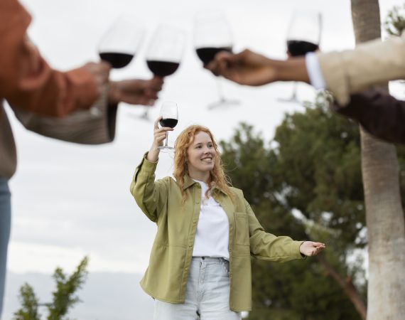 amigos-brindando-com-tacas-de-vinho-durante-a-festa-ao-ar-livre
